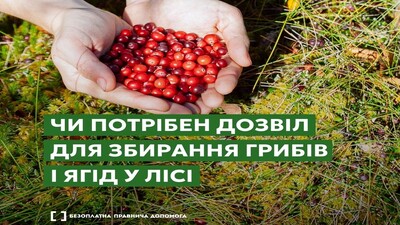 526581511 1217568173739702 50834