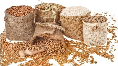 Зберігання насіння зимою 2