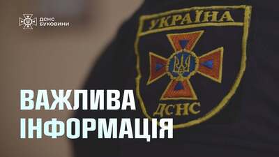 дснс буковини