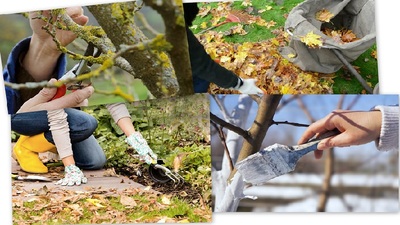 kolazh doglyad za sadom voseni 1