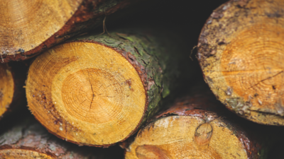 Дизайн без назви 1