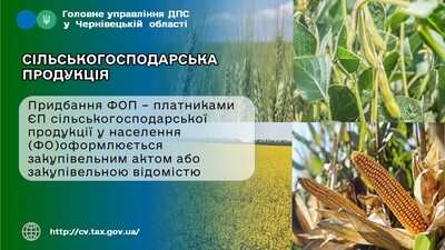 СГ продукция 1