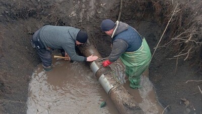 зображення viber 2026 03 03 10 5