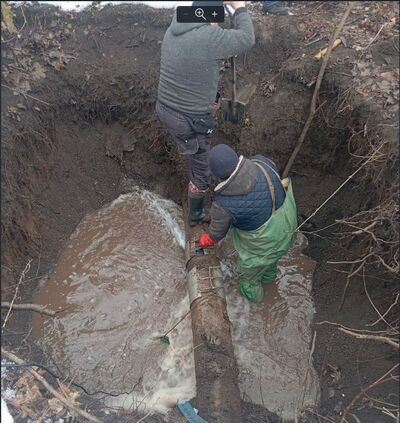 зображення viber 2026 03 03 10 5 1