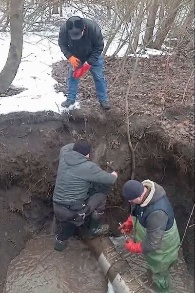 зображення viber 2026 03 03 10 5 4